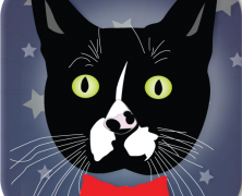 Android App Kitty Cat